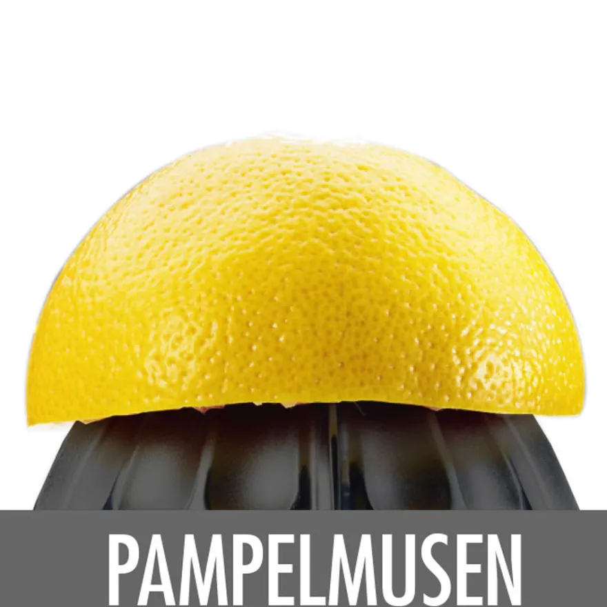 GASTROBACK Home Culture - Zitruspresse* Zitruspressen
