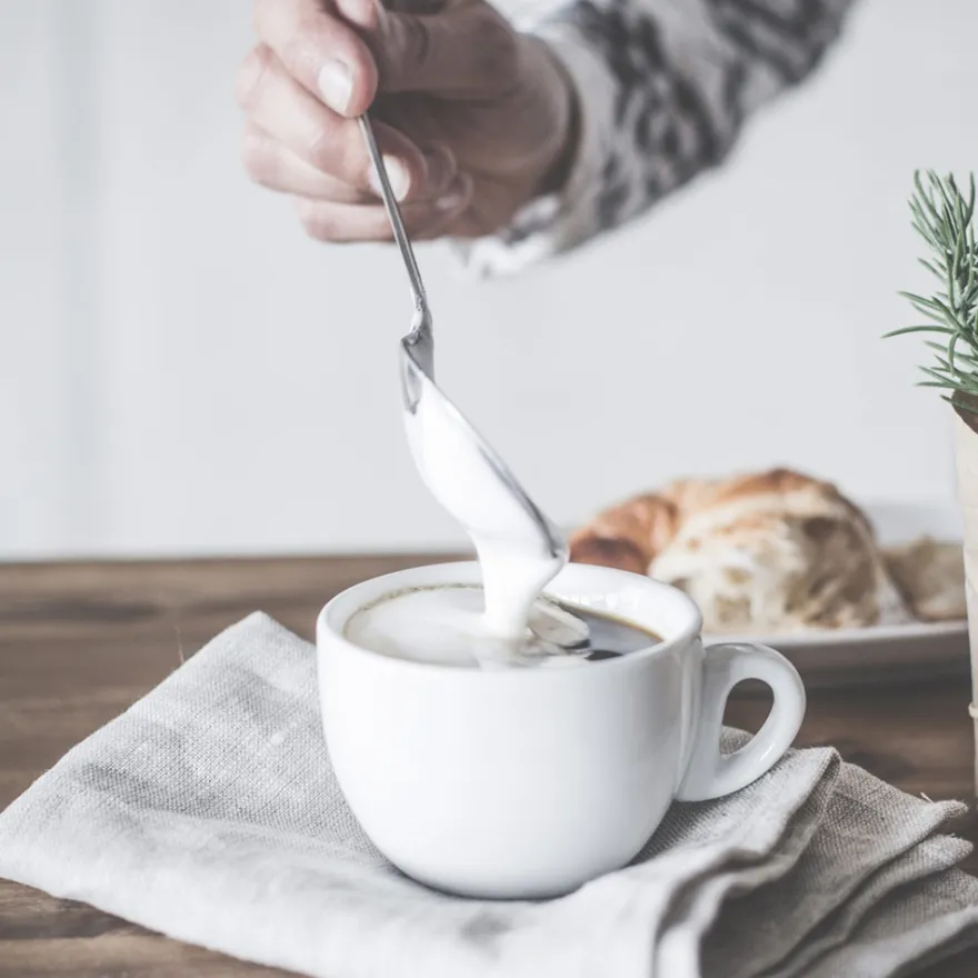 GASTROBACK Latte Magic_schwarz* Milchaufschäumer